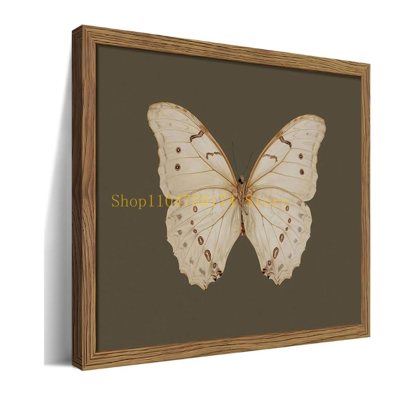 Artistic Butterfly Framed Wall - Home Improvement Sales ulasan dan harga